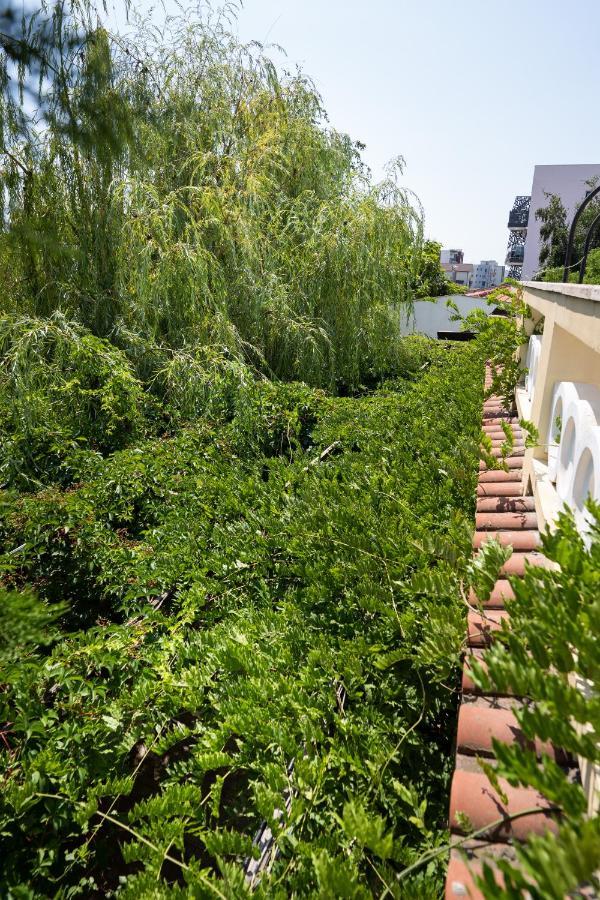 Villa Pontica Năvodari Екстериор снимка