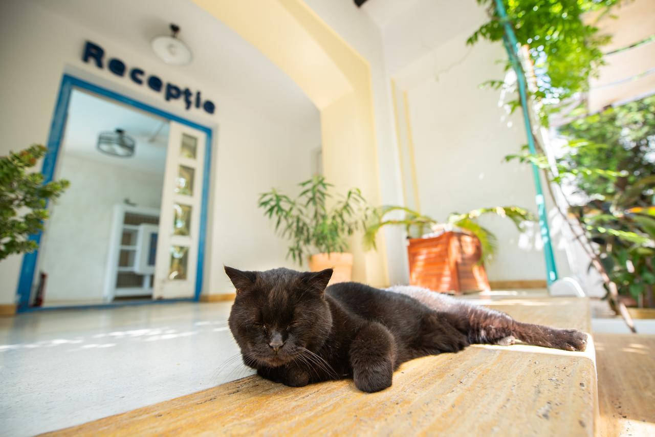 Villa Pontica Năvodari Екстериор снимка